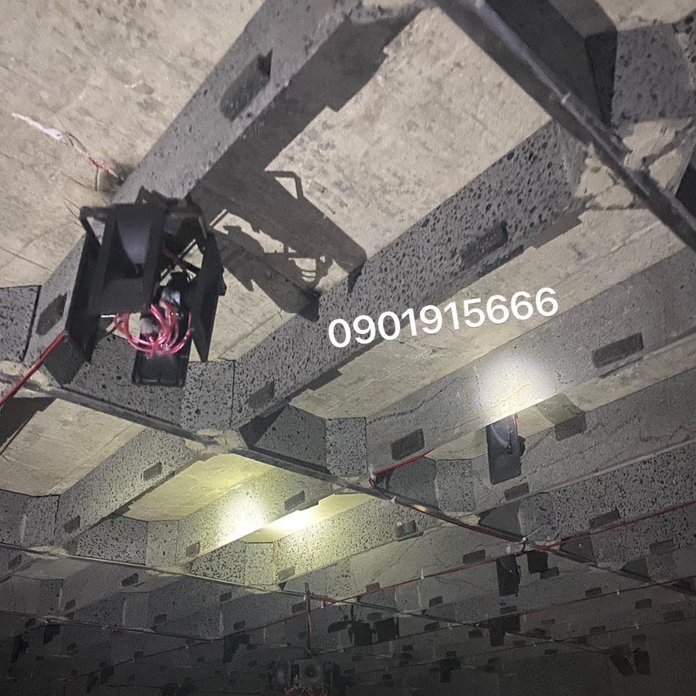 Nên Chọn Loại Loa Nào Để Có Thể Phù Hợp Khi Nuôi Yến?