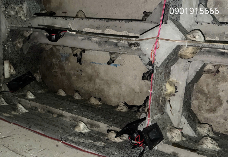 Bảo dưỡng và kiểm tra định kỳ – Bí quyết vận hành bền vững