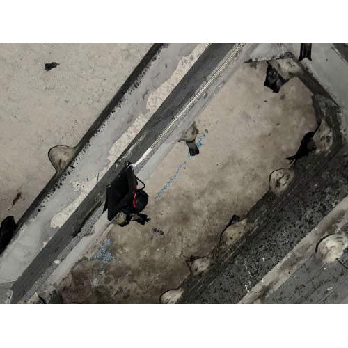 Tại sao nên chọn mua thiết bị ở các đơn vị uy tín, có kinh nghiệm lắp đặt kỹ thuật nhà yến?