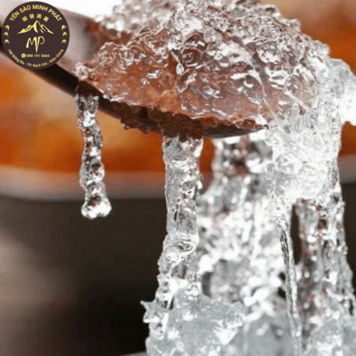 Những Vai Trò Của Yến Sào Trong Đời Sống Gia Đình Việt