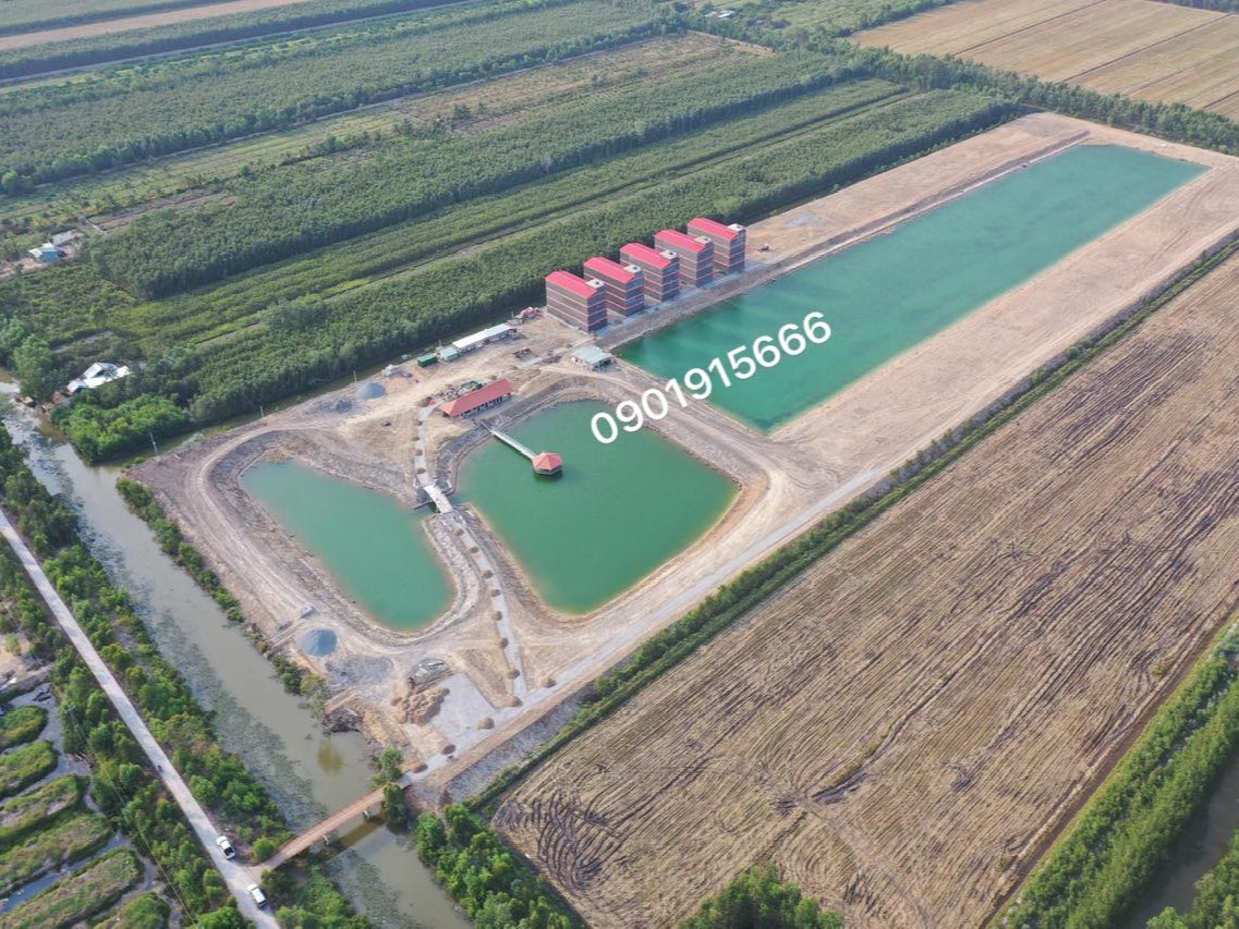 Các yếu tố ảnh hưởng đến chi phí