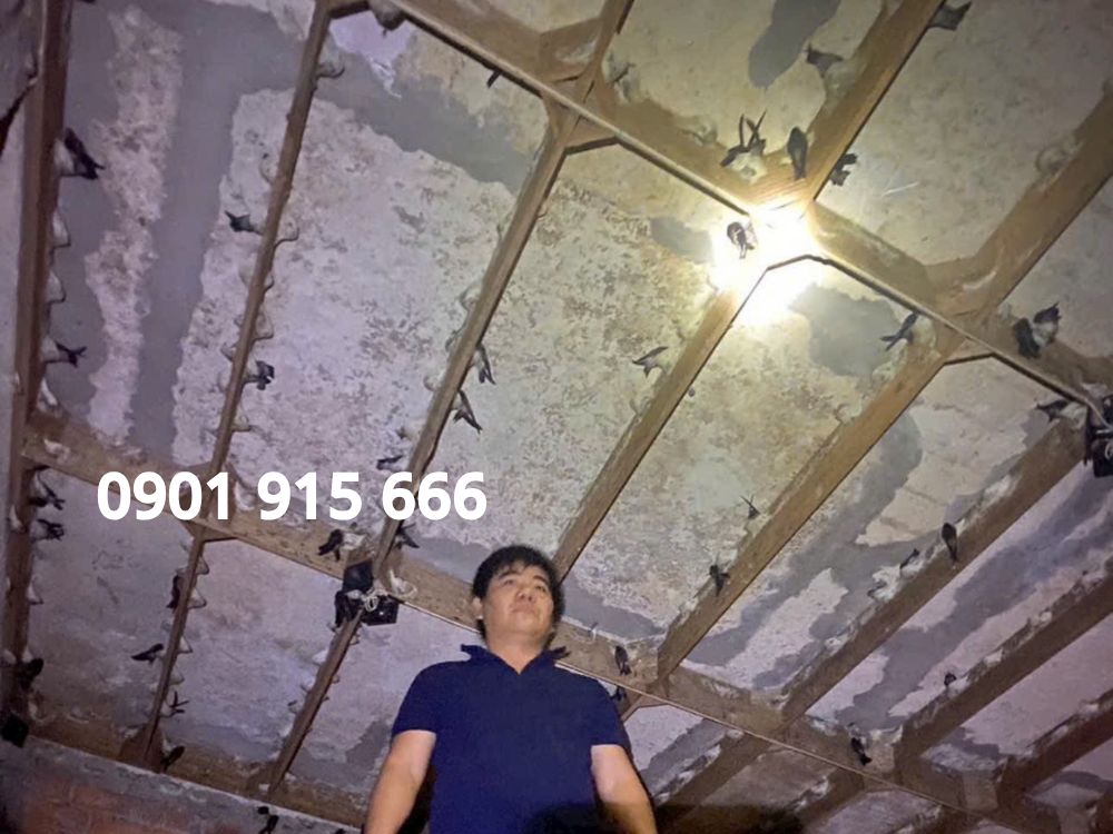 2. Thiết kế và vật liệu nhà yến sai chuẩn