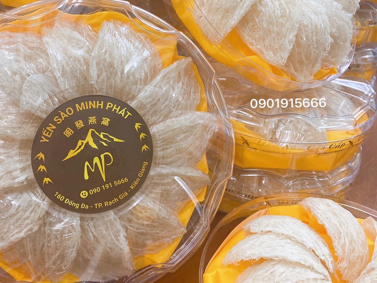 Yến sào – Bí quyết giữ gìn nhan sắc và sức khỏe toàn diện