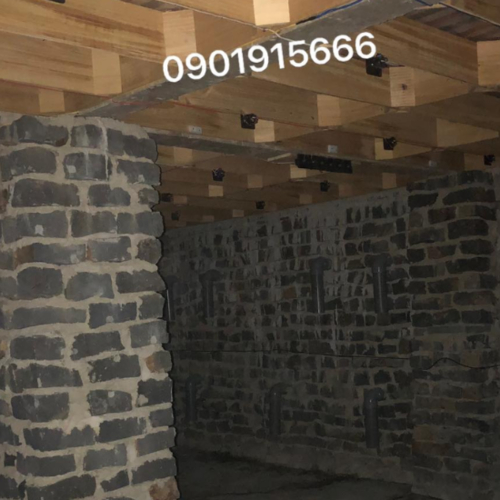 Cách Dẫn Dụ Chim Yến Hiệu Quả: 5 Bước Vàng Chủ Nhà Yến Nên Biết