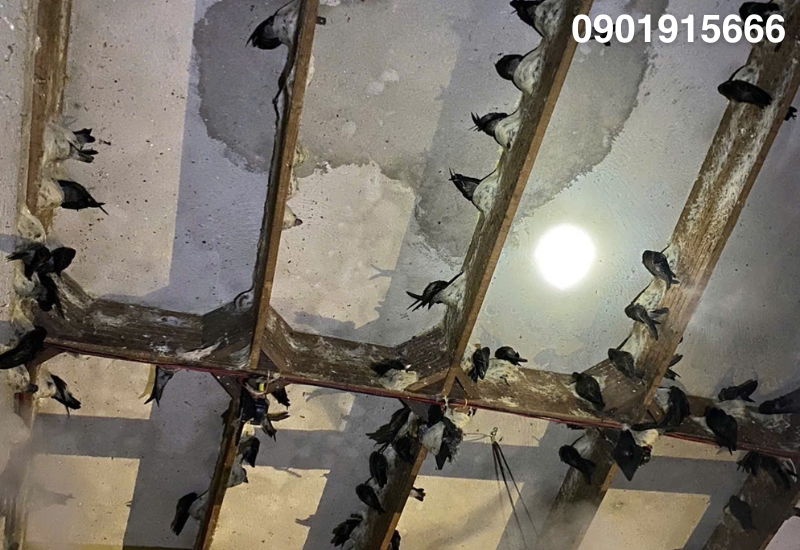 Gói 1: Nhận xây dựng và lắp đặt thiết bị trọn gói