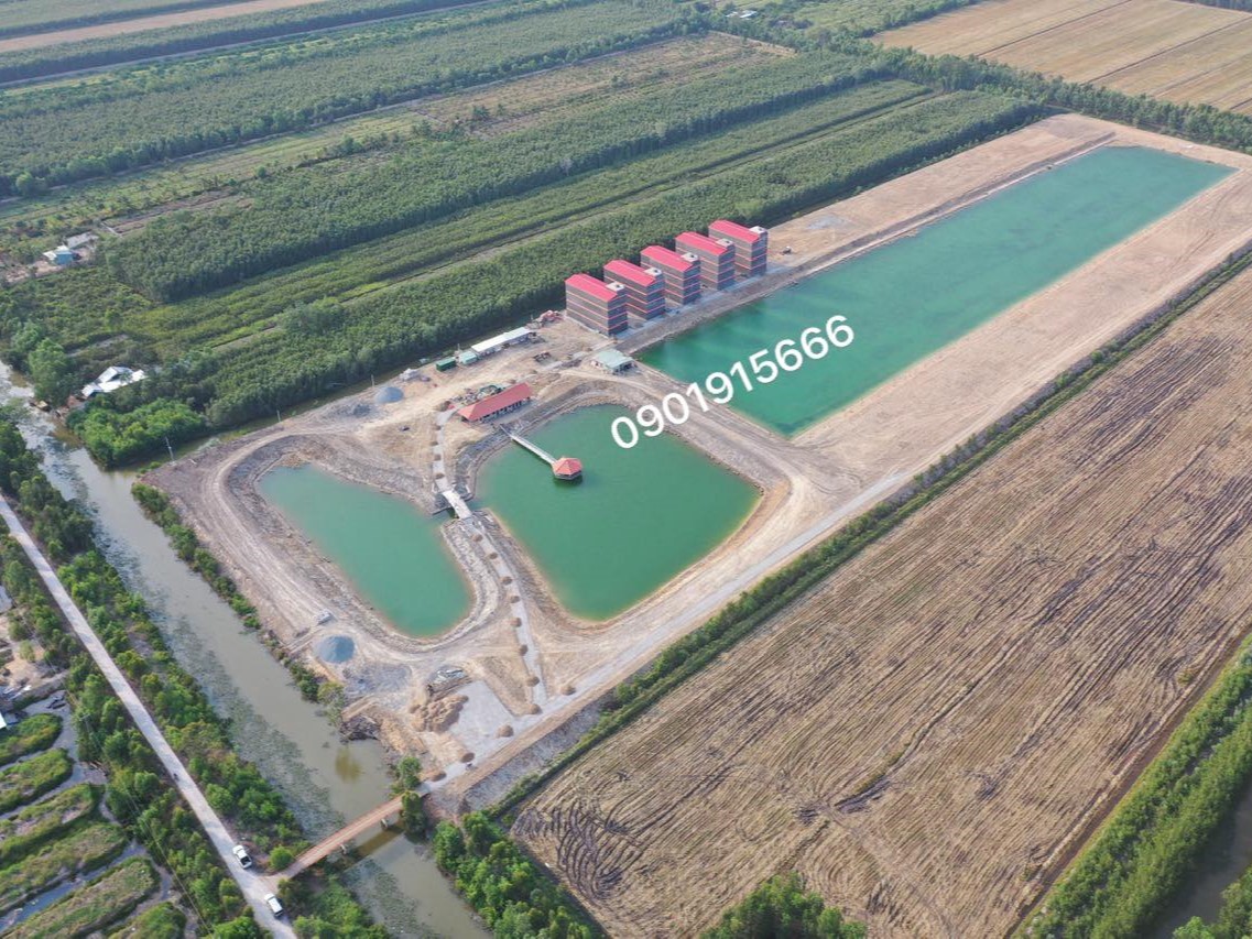 Các yếu tố cần chú ý khi cải tạo nhà yến bao gồm: