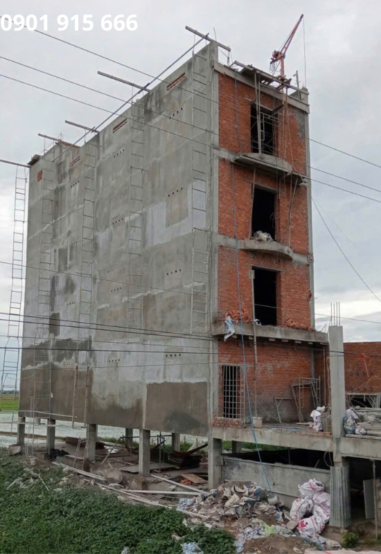 Chu kỳ sinh sản yến