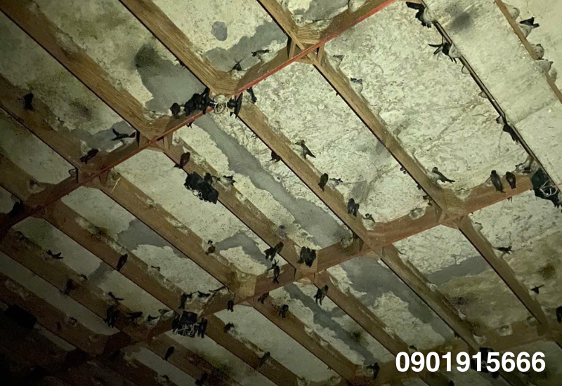 Thanh làm tổ (giá thể)