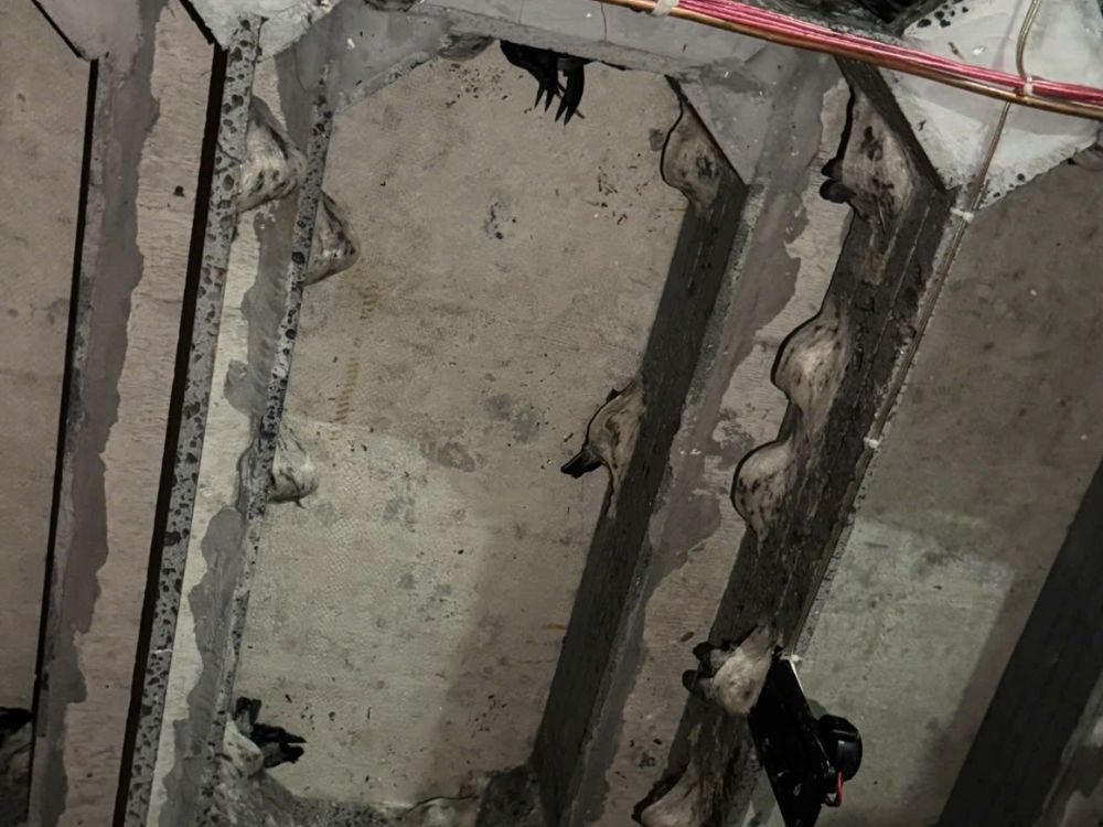 2. Sai kỹ thuật – Nguyên nhân khiến nhiều nhà yến đầu tư lớn nhưng thất bại