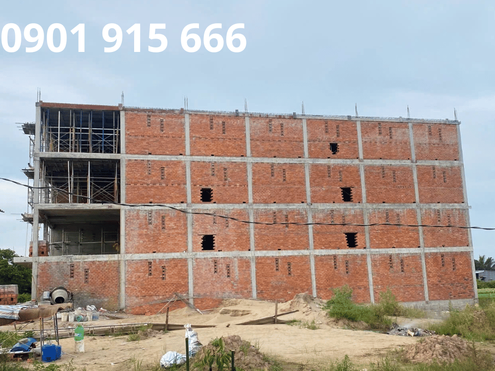 Nhà yến chậm chim hay thất bại thực sự? Những tiêu chí cần nhận diện rõ