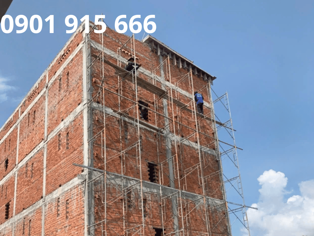 Bao nhiêu phần trăm nhà yến ở Việt Nam đang chậm chim?