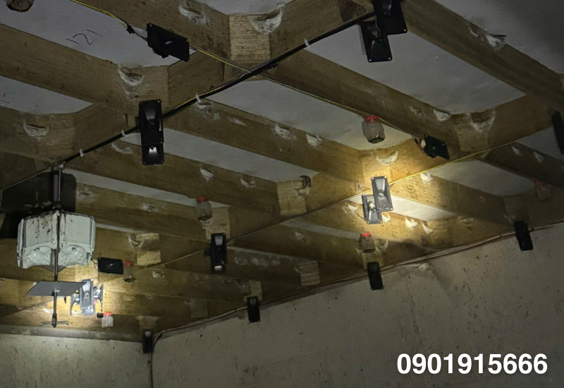 Mức độ ánh sáng và tác động sinh học