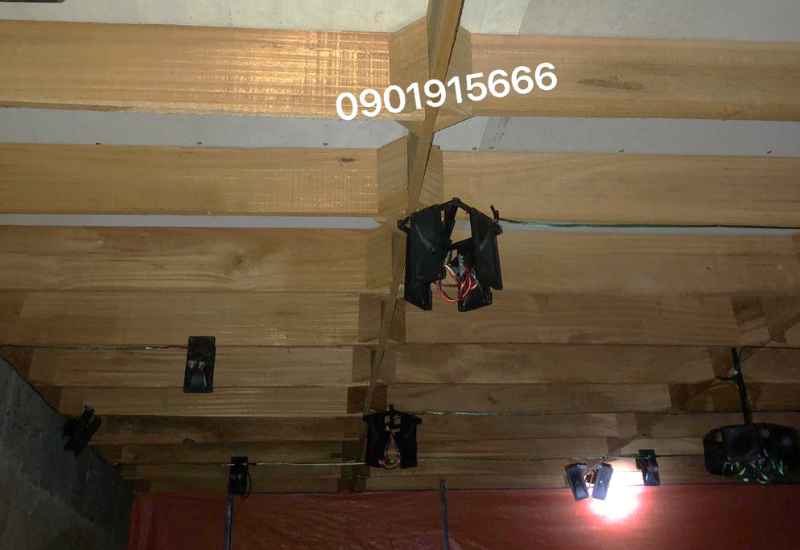 Ánh sáng và việc lựa chọn nơi làm tổ