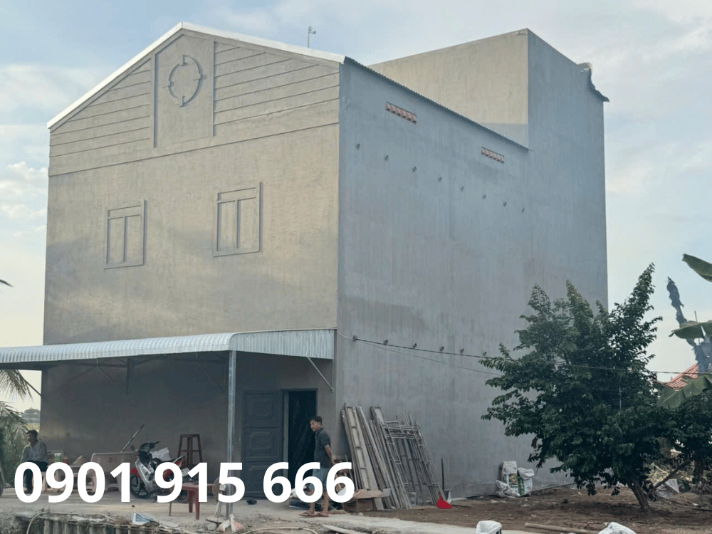 Pháp lý và quy định địa phương