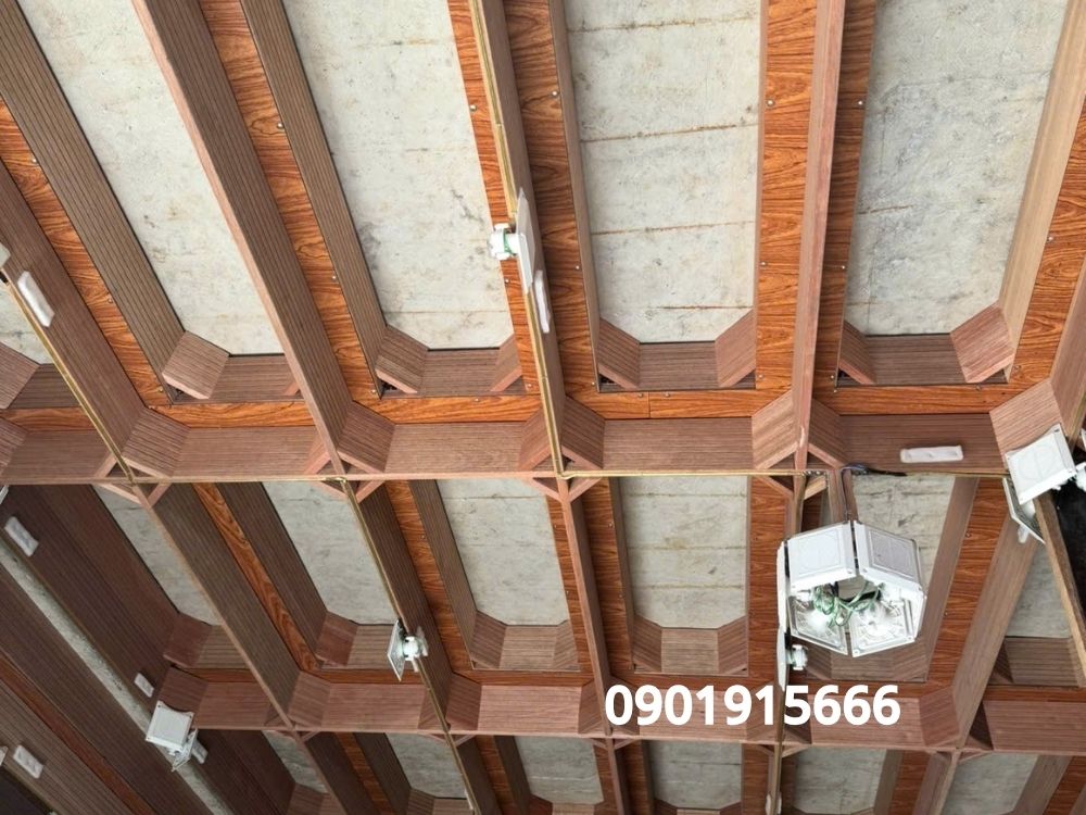 Nhà yến thành công là do may mắn hay kỹ thuật?