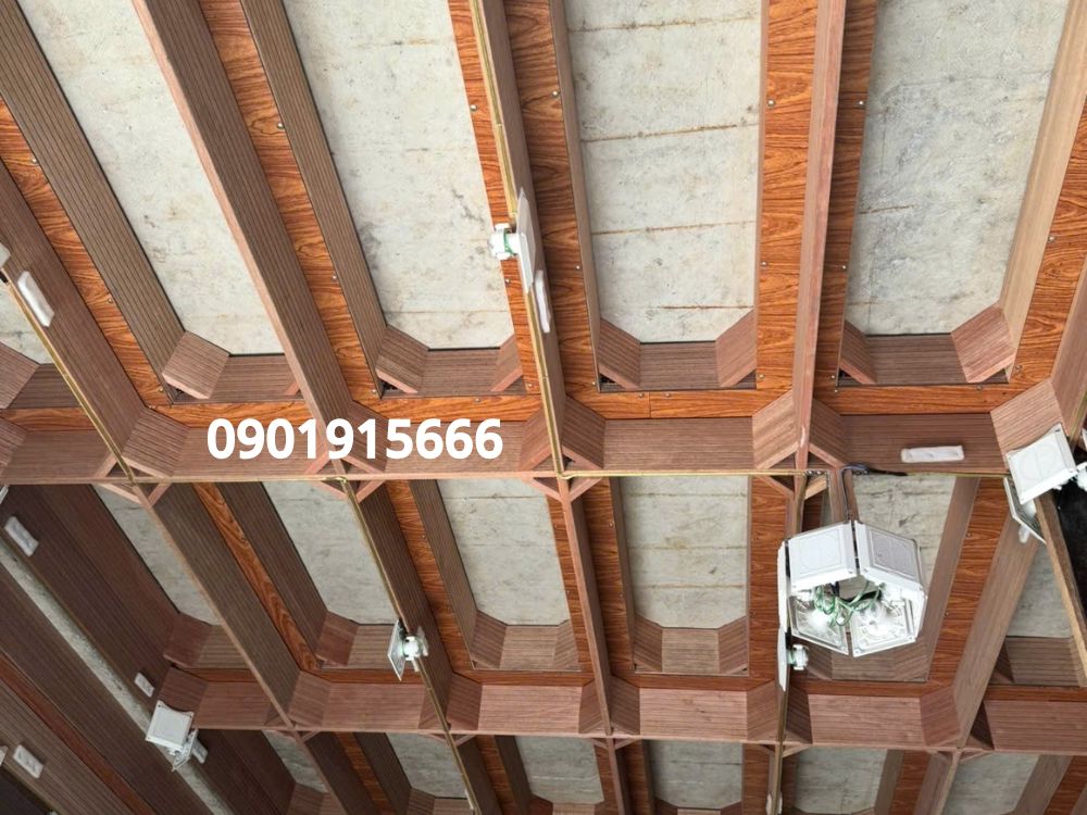 Nhiệt độ, độ ẩm và ánh sáng ảnh hưởng trực tiếp đến khả năng làm tổ của chim yến