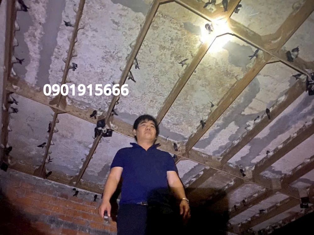 2. Tần suất kiểm tra – bảo trì nhà yến theo từng giai đoạn hoạt động