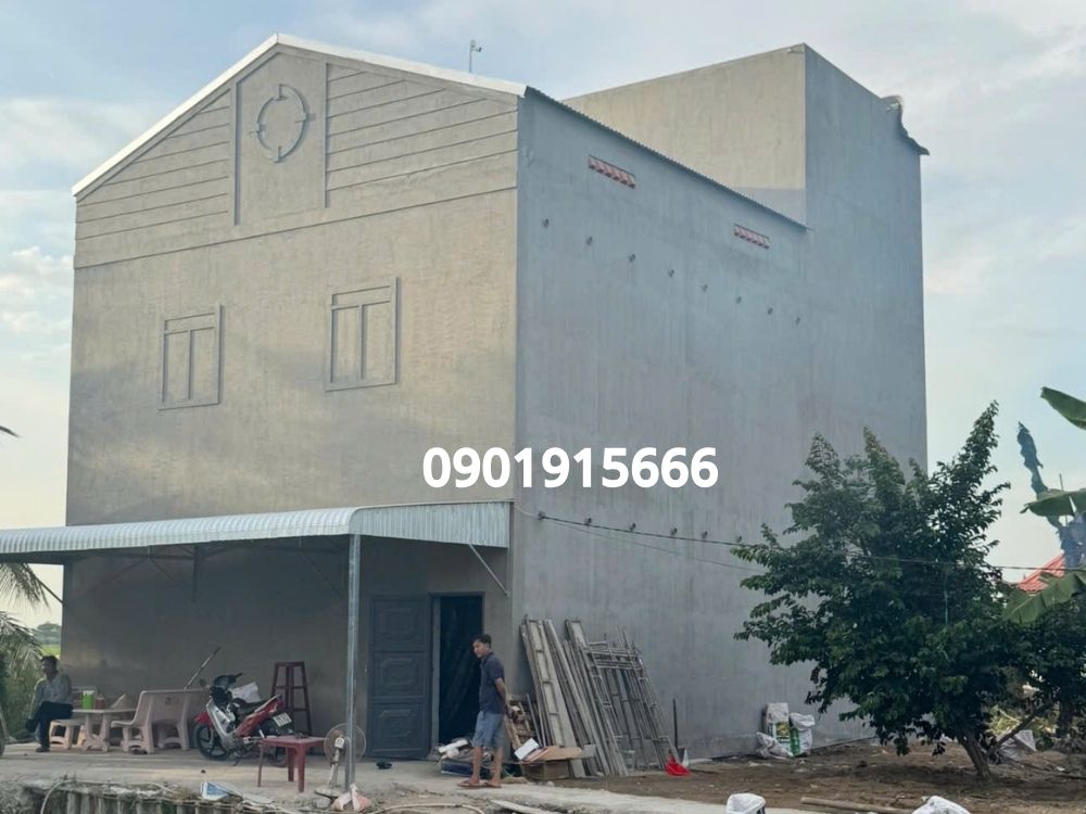 Kinh nghiệm thực tế cho thấy nhà yến thành công đến từ hiểu biết tập tính chim yến