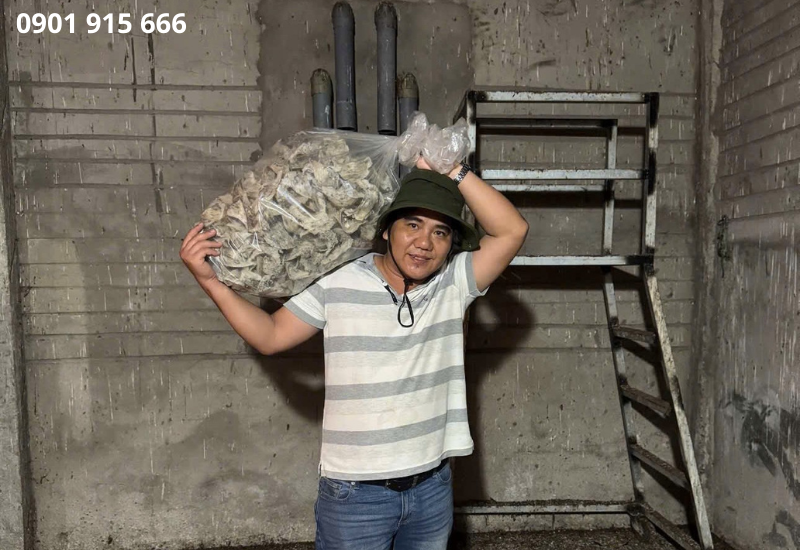 Khi nào nên thuê đơn vị vận hành nhà yến?