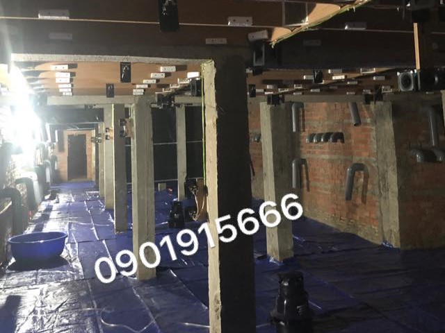 Công nghệ ánh sáng ứng dụng trong nhà yến