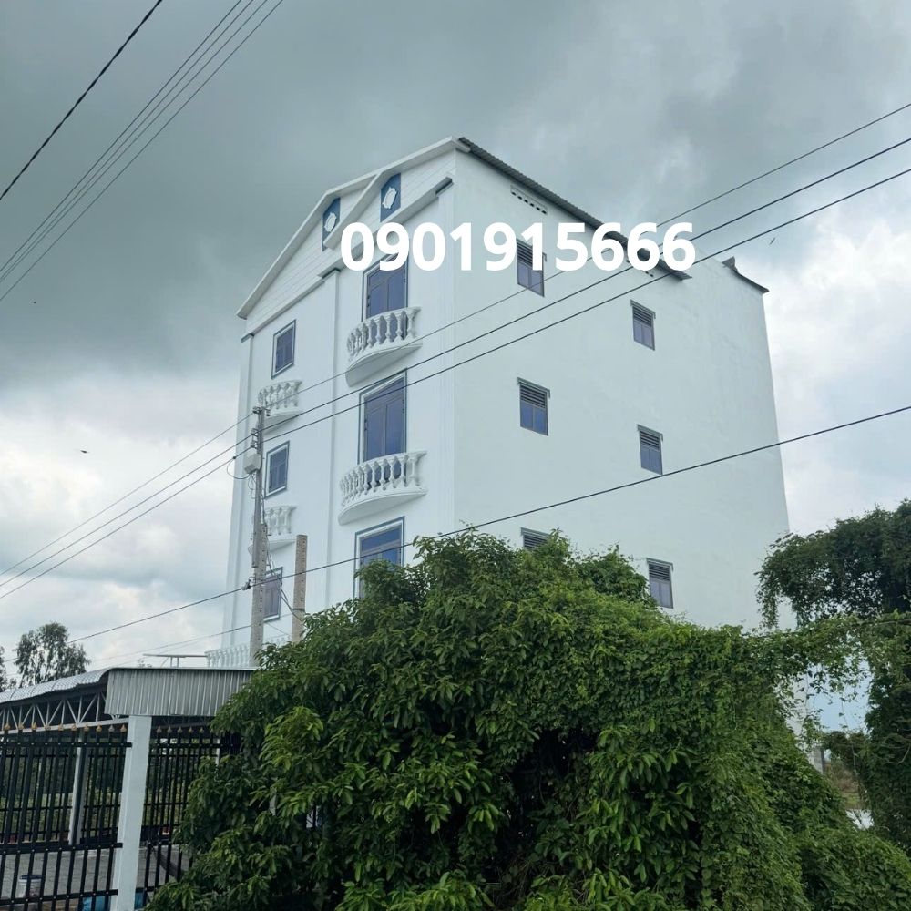 Vì sao mô hình nhà yến ngày càng được nhiều người lựa chọn?