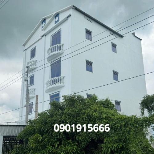 Các Kỹ Thuật Và Công Nhệ Ánh Sáng Nuôi Yến