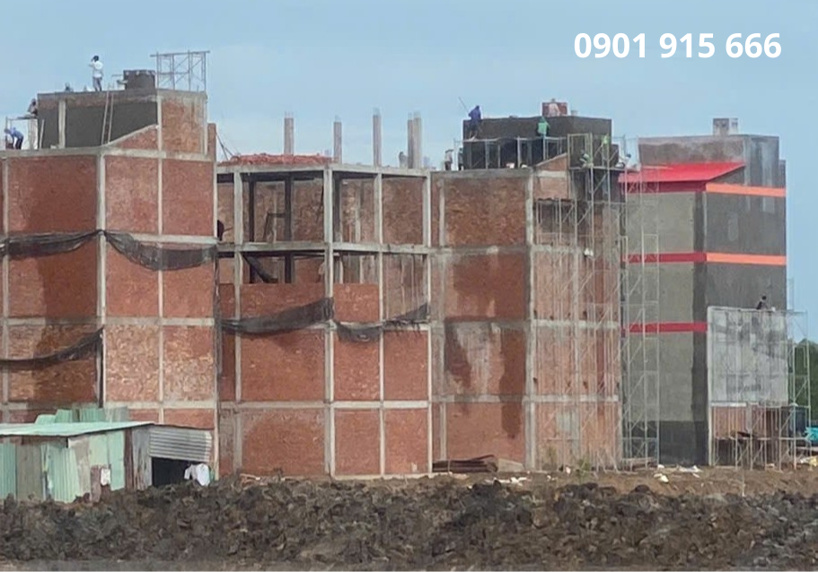 Lĩnh vực hoạt động